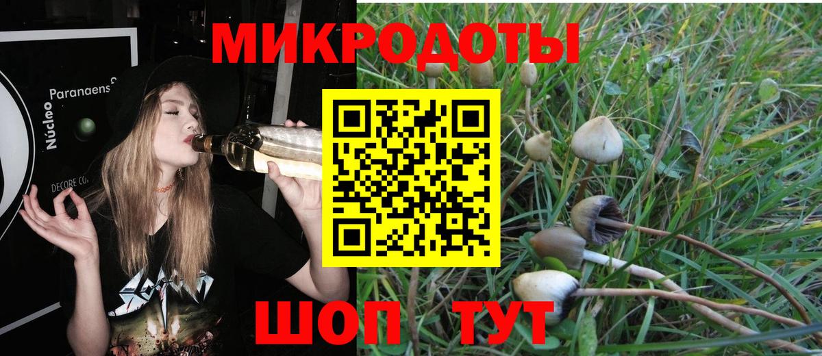Серпухов  Псилоцибиновые грибы Cubensis  Галлюциногенные грибы Psilocybe  Вход с VPN 