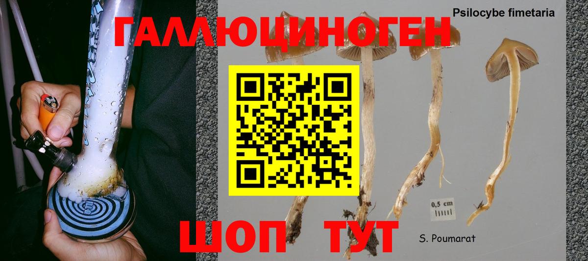Псилоцибиновые грибы мухоморы Серпухов
